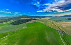 783 Lot D Old Mills Rd, Desmet, ID 83824