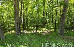 TBD Quinnesec Lake Antoine, Iron Mountain, MI 49801