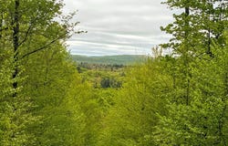off Laplante Rd, Star Lake, NY 13690