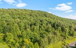 L31.1 County Rd 32, Norwich, NY 13815