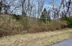Lot 47 TUPELO LOOP, SPRINGFIELD, WV 26763