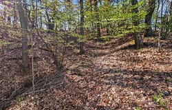 N SILVER RIDGE ROAD, MEARS, MI 49436