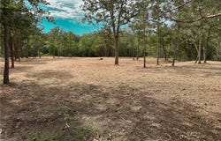 1800 Big Berry Road, Somerville, TX 77879