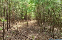640 Blowing Cave Road, Gurley, AL 35748