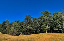 145,147,149 Hillsdale Drive, Gurley, AL 35748