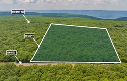0 157 Highway GA, Menlo, GA 30731