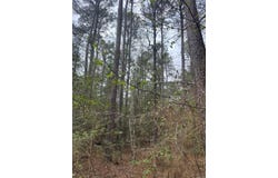 40 acres Calhoun 261 Road, Hampton, AR 71744