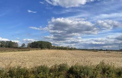 0 Whitehaven Rd, Tyaskin, MD 21865