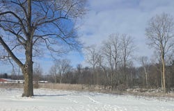 S Pine River Road, Ithaca, MI 48847