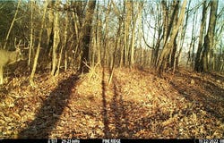 Hazel Run Road, Salineville, OH 43945