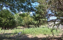 241 Texas Drive, Palmer, TX 75152