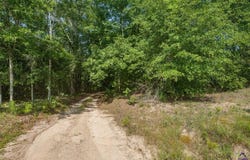 785 Moncrief Road, Roberta, GA 31078