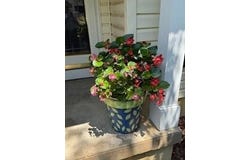 108 Oak Ridge Dr, Greenwood, SC 29649