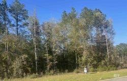 8 Cayden Circle lot: 8, Stapleton, AL 36578
