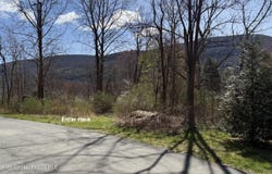 00 Mcdole Road, Ellenville, NY 12428