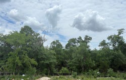2112 Sarabanda ST, Round Rock, TX 78681