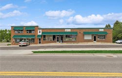 1321 Frost Avenue, Maplewood, MN 55109