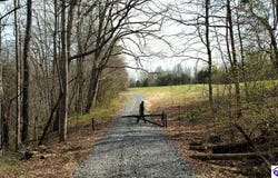 TRACT 4 Price Hill Spur Road, Campbellsville, KY 42718