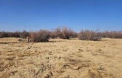 San Pedro Ranch, San Antonio, NM 87832