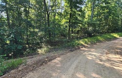 County Road 453, Piedmont, MO 63957