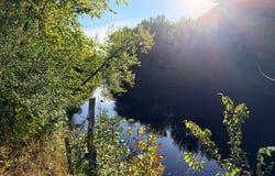 2346 150th Avenue, Braham, MN 55006