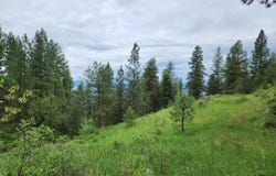 TBD GOLD MOUNTAIN RD, REPUBLIC, WA 99166