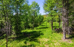 381 E Green Mountain Road, Claremont, NH 03743