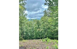 Lot 315 Pebble, Talking Rock, GA 30175