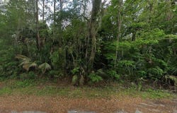 RIVER ROAD, ASTOR, FL 32102