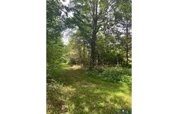 Beaverdam, VA 23015