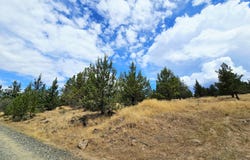 Canvasback Drive, Bonanza, OR 97623