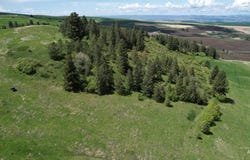 Tbd Slickpoo Road, Culdesac, ID 83524