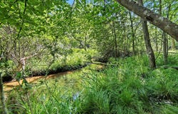 V/L South Shore Drive, Whitehall, MI 49461