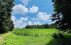 81 Shearer Cemetery Ln, Columbia, KY 42728