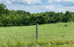 1592 S Bluegrass Road, Brooksville, KY 41004