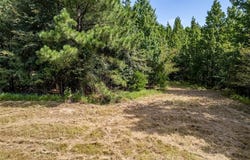 Tbd County Road 2115, Troup, TX 75789