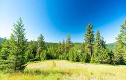 781 Springhill Road, Kila, MT 59920