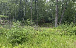 0000 Butler Rd, Winter, WI 54896