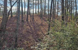 4 Reclamo Place, Hot Springs Village, AR 71909