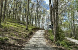 411 Alum Cave Road, Annville, KY 40402