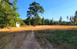 Erdman WAY, Veneta, OR 97487