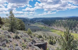 TL 600 Hines Logging Road, Hines, OR 97738