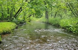 1977 E 40th Street, White Cloud, MI 49349