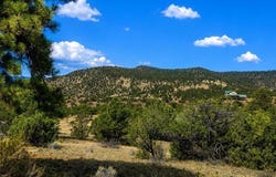 4055 Bear Creek Circle, South Fork, CO 81154