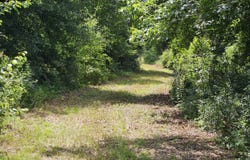 0 county road 173, Headland, AL 36345