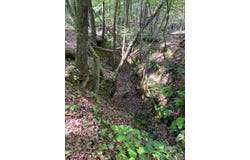 0 Wigdon Rd Lot 1, Opelika, AL 36801