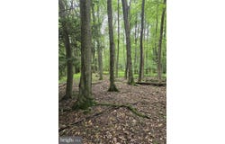 825 PINE VALLEY Road, NEW RINGGOLD, PA 17960