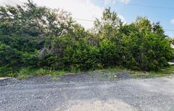 419 Thunderhead ST, Spring Branch, TX 78070