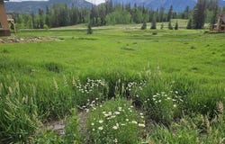 167 Meadowview Drive, Durango, CO 81301