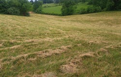 9999 McGill Wyan Road, London, KY 40744